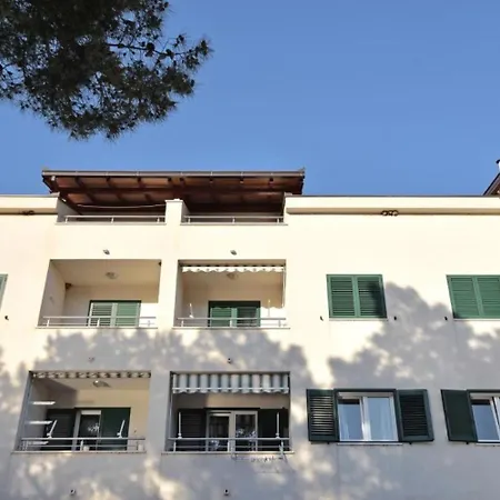 Leo Ploce (Dubrovnik-Neretva)